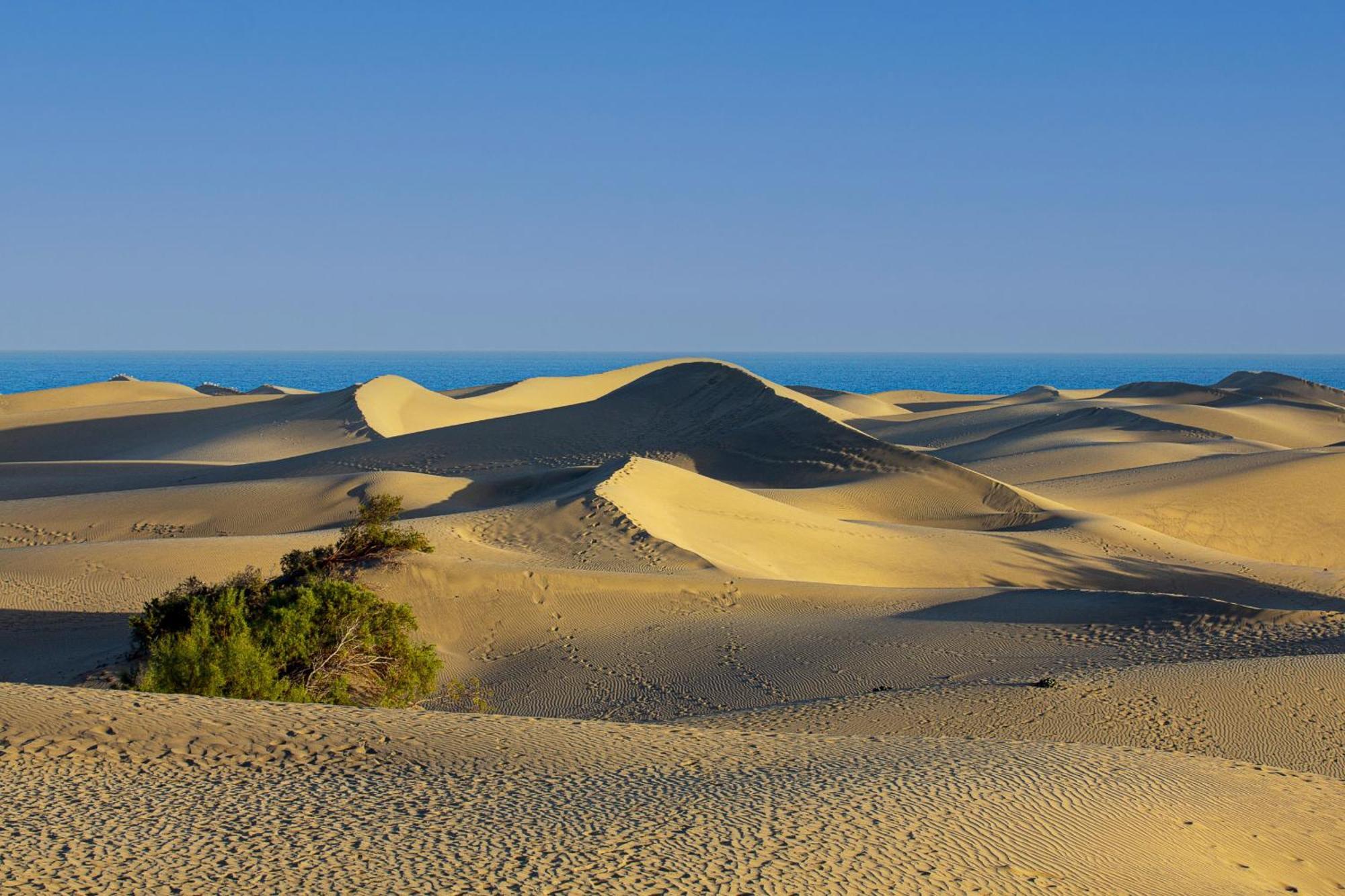 Stylish Apartment Tisalaya 40 By Pride Holiday Rentals Maspalomas  Buitenkant foto